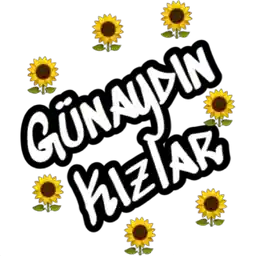 aynur