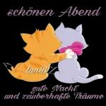 Gute Nacht und schlaf schön😻