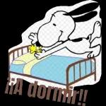 paquete 2