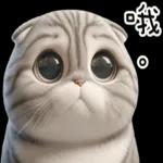 折耳貓貓 ❤ 給你一個讚 ❤