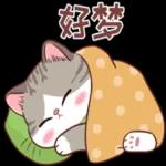 晚安囉