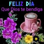BUENOS DÍAS BUENAS NOCHES