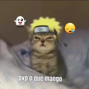 VWEyvO