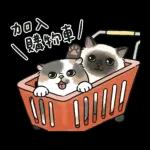 奶油小生 - 只想耍廢