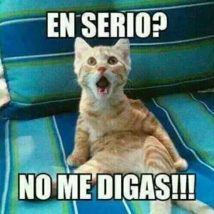 En serio? No me digas!!! - getsticker.com