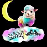 Moin