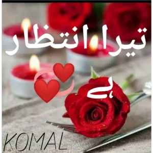 k6dLFC
