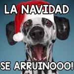 queee！feliz navidad🎄🎁
