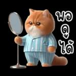 แมวขี้โมโหในชุดนอนสีอ่อน