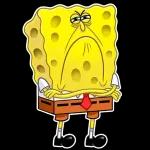 Square Pants
                            Dima HLCLL