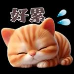 呆萌小橘貓-2