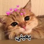 الهم قوي امان...