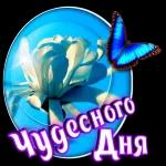 Очень серьезный разговор