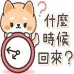 你在哪？什麼時候回來