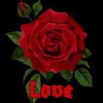 I Lope
You
My Love
Good Morning