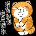 白爛貓53☆超靠北☆