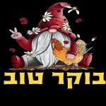 הורדה חינם, עדכונים יומיים, אין צורך בכניסה