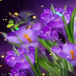 позитив