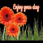 I just want to know!😏