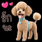 ชอบนะ