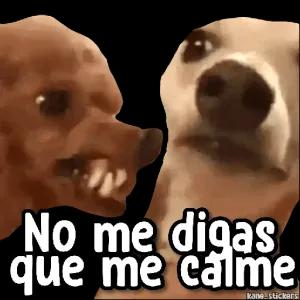 8puRxf