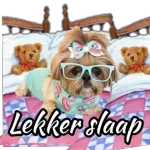 lekker slaap