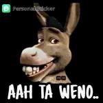 Buenos Días