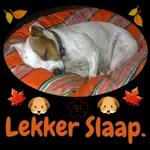 goeie more