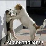 ! YA CONTROLATE!