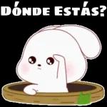 Elamorde Dios es Maravilloso amen