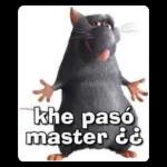 Que estás haciendo?