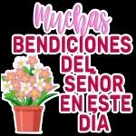 QUE TODA LA GLORIA SEA PARA DIOS!
