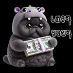 แมวดำ ฮิปโปแคระ