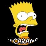 MI PAQUETE 50