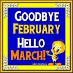 bye February hello March 2