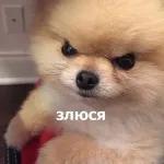 ТУГАН КӨҢЕҢ КОТЛЫ БУЛСЫН!