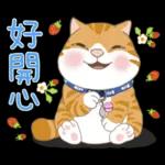 懶貓家族12 小太陽和家人-甜蜜草莓篇