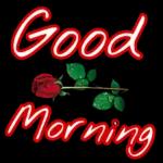 mana lain? masuk. masuk!