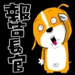 黄狗说： 