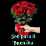 Stickers de flores
