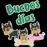Buenos días 1