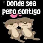 Hola grupo