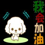 白貴賓犬表情包