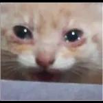  cuanta@Giseelove_StickersMaldad