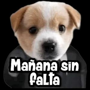 kwk8vl