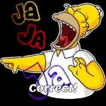 NO CREO