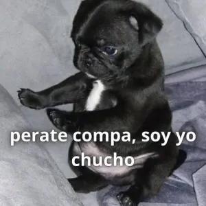 EjJPKM