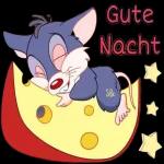 hallo wie geht es dir