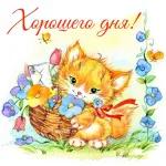 доброе утро