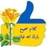 أشلون
الحبايب
#MomenAlani